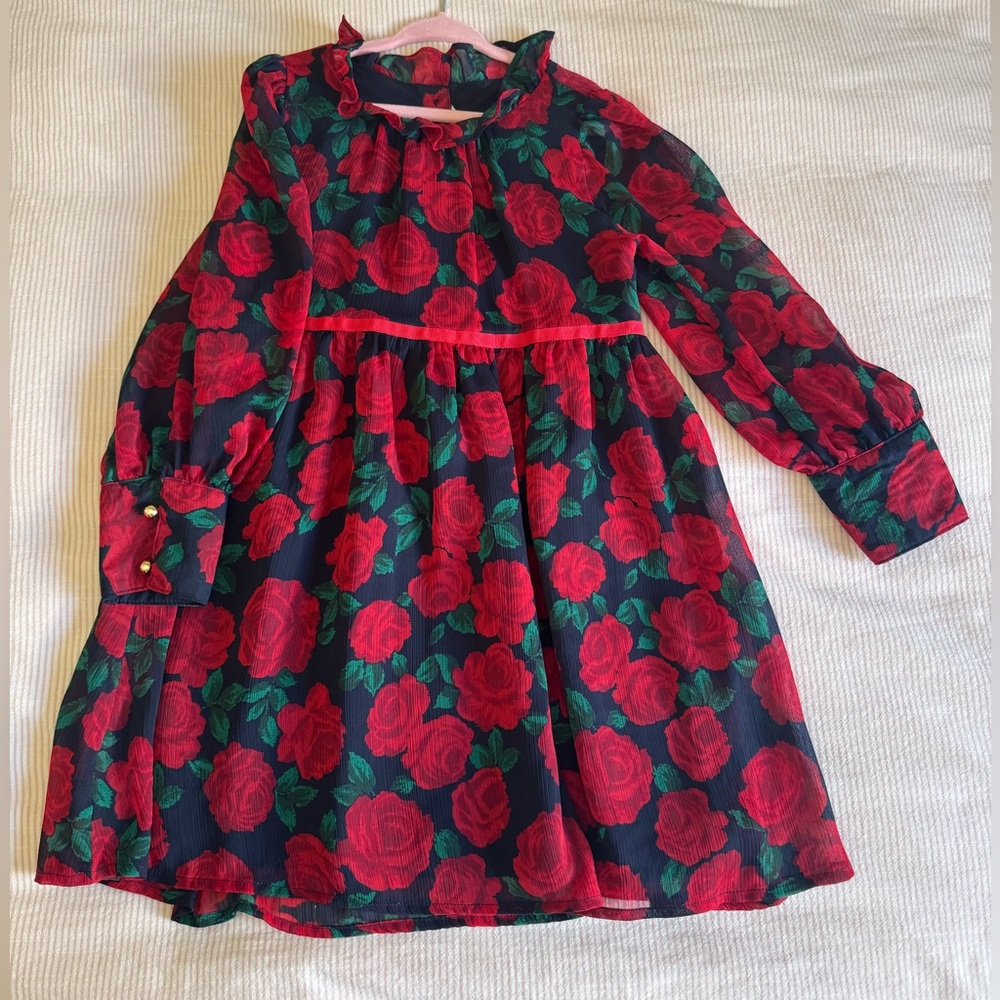 Like New Janie and Jack dress